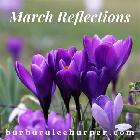 March Reflections Stray Thoughts