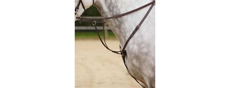 Shires Standing Martingale Attachment Equestriancollections