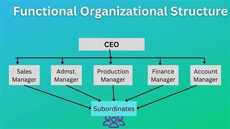 Functional Organizational Structure Definition And Proscons