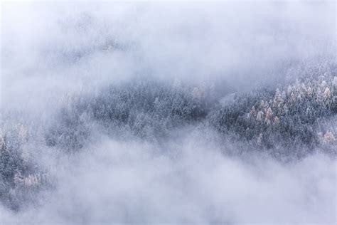 545205 Fog Foggy Forest Landscape Mountains Nature Panorama Sky