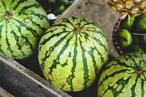 Free Images Watermelon Citrullus Cucumber And Melon Family Fruit Plant Cucurbita