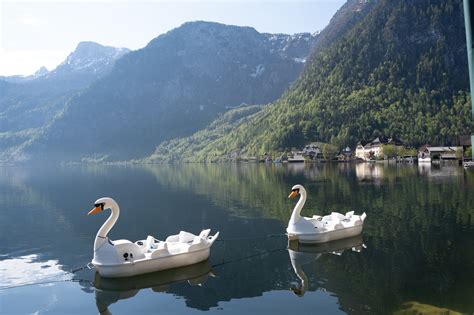 Hallstatt A Perfect Tiny Fairy Tale Town In Austria You Have To Visit