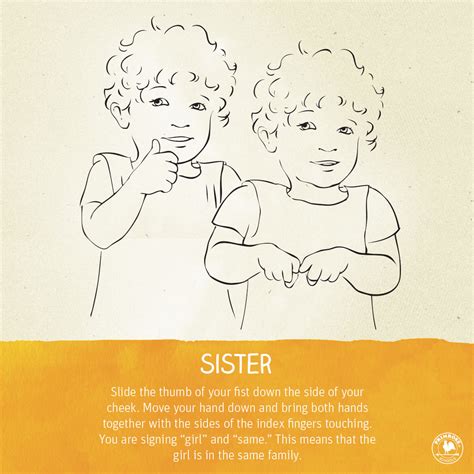 See more ideas about sign language, language, asl sign language. Infant Sign Language For Each Family Member - Primrose Schools