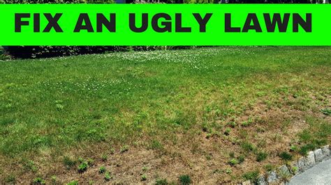 Here is the final part to the series on installing a putting green and artificial turf. How to make an ugly lawn, an amazing lawn - Part 1 - YouTube