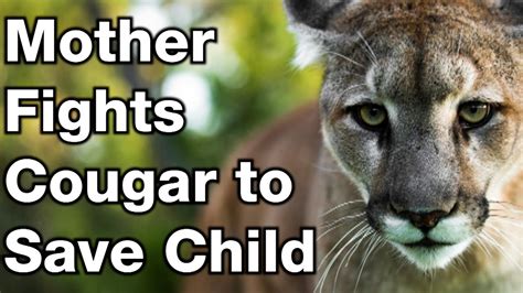 Mother Fights Cougar To Save Child Youtube