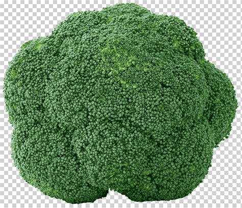 Brócoli Alimentos Orgánicos Cocina India Fruta Vegetal Brócoli