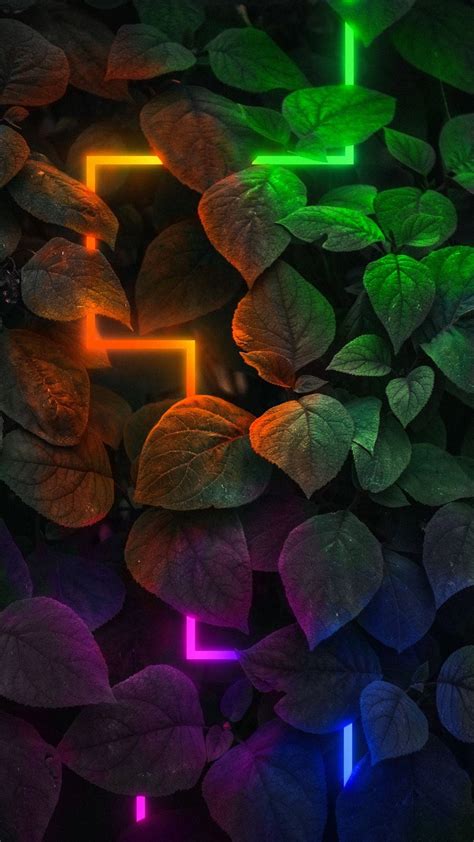 Download Plants Neon Aesthetic Iphone Wallpaper