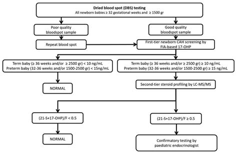 flowchart for pilot neonatal congenital adrenal hyperplasia screening download scientific