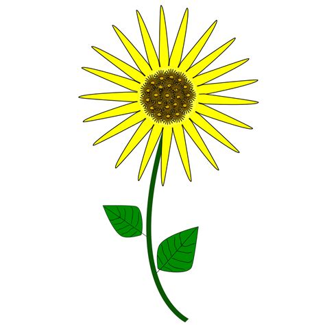 Sunflower Clip Art Svg