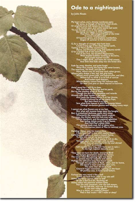 Ode To A Nightingale Poem By John Keats Art Print Poster Etsy