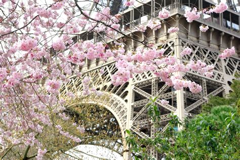 All There Is To Know About Spring In France French Moments