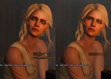 Eye And Makeup Tweaks For Ciri And Yen At The Witcher Nexus Mods