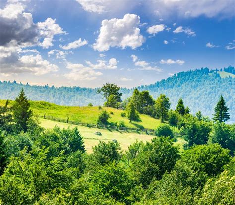 Fence On Hillside Meadow In Mountain At Sunrise Stock Image Image Of