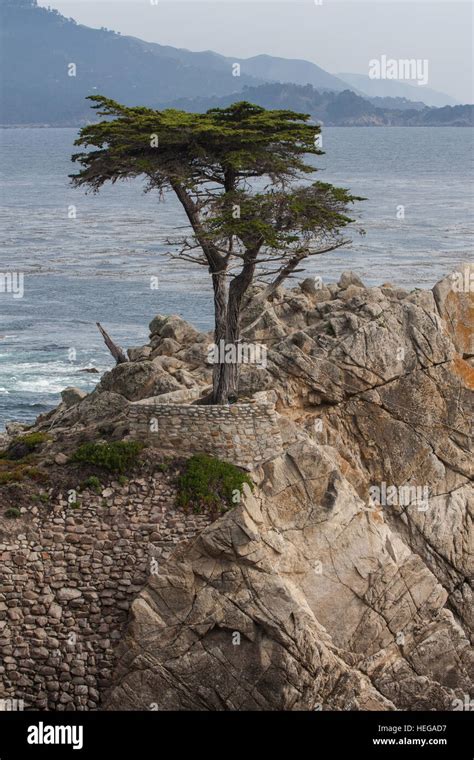 17 Mile Drive Pebble Beach Golf Hi Res Stock Photography And Images Alamy