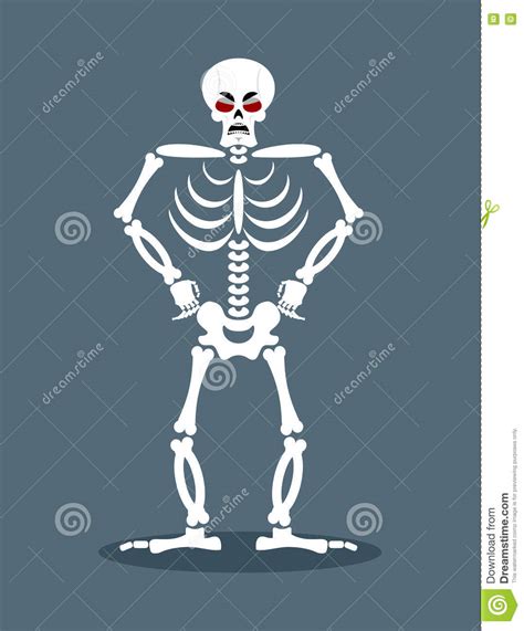 Angry Skeleton Aggressive Dead Evil Skull And Bones Stock Vector