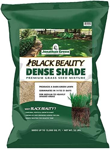 Jonathan Green Black Beauty Dense Shade Grass Seed Cool Season Lawn Seed Lb