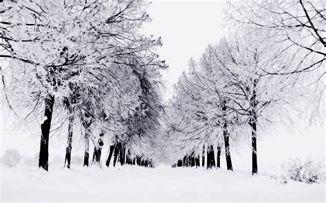 Winter Nature Snow Scene Free Desktop Wallpapers For Widescreen Hd
