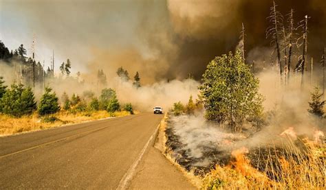 Driving Through Forest Fire Ravaged Region How To Stay Safe