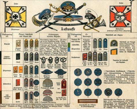 Ww2 German Luftwaffe Ranks And Insignia Poster Ebay