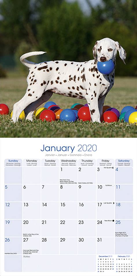 Dalmatian Puppies Calendar 2020 Pet Prints Inc