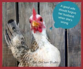 121 Best Funny Chickens Memes From The Chicken Studio