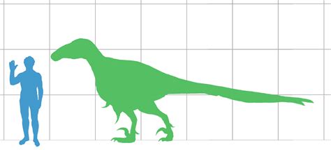 Guanlong Vs Velociraptor Vs Utahraptor Vs Gojirasaurus