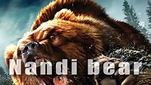 Nandi bear | DinoAnimals.com