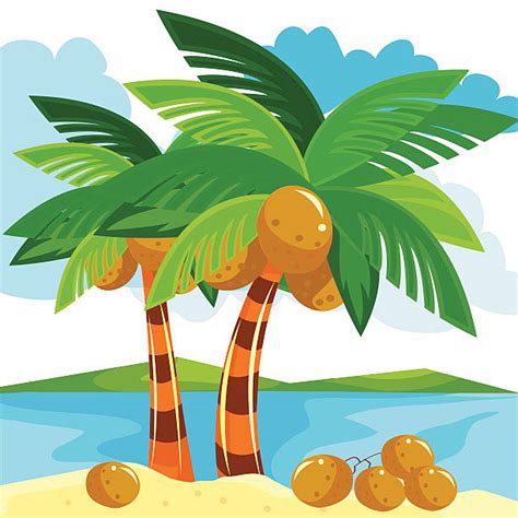 Coconut Palm Trees On Small Island Illustrations Royalty Free Vector