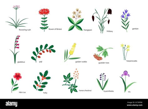 Isolated Plants Simple Icons Collection Stock Vector Image And Art Alamy