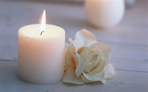 Candle Wallpaper White Candle And Flower 1920x1200 Wallpaper