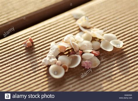 Tiny Seashells Stock Photo Alamy