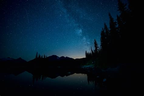 Wallpaper Trees Landscape Forest Dark Night Lake