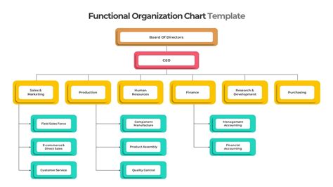 Functional Organizational Chart Template Slidebazaar