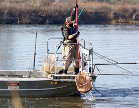 Research Fishbio Fisheries Consultants