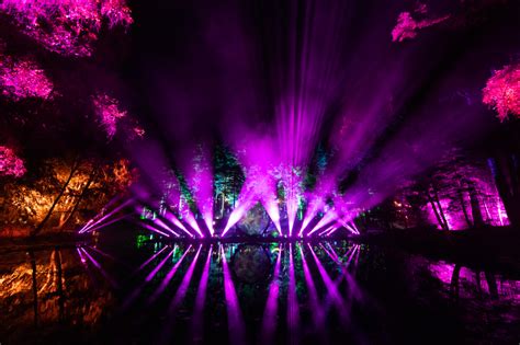 Scotlands Light And Sound Show The Enchanted Forest