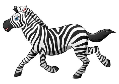 Happy Zebra Cartoon Running Stock Vector Illustration Of Running
