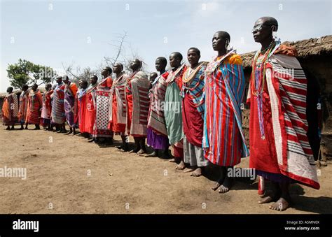 Masai Women In A Village In Kenya Stock Photo Alamy