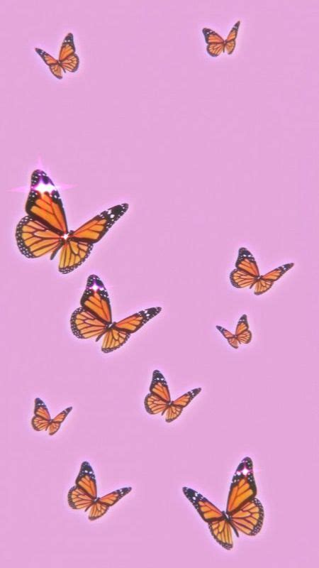 Download Lock Screen Aesthetic Butterfly Wallpaper Purple Images