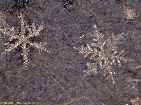 Close Up Photos Of Snowflakes Taken With A Microscope Accuweather