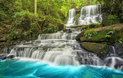 Wallpaper Forest River Waterfall Forest River Landscape Jungle