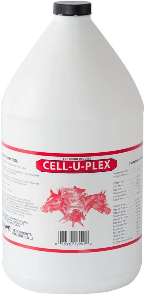 Oralx Cell U Plex Supplement Amazonca Everything Else
