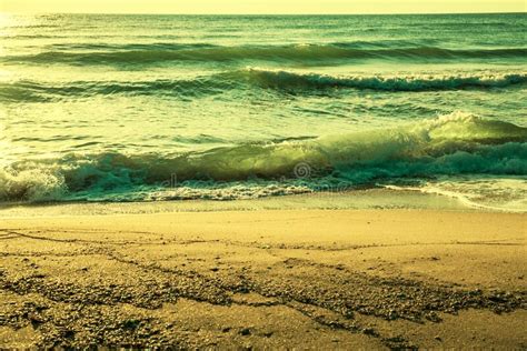 tropical sandy beach stock image image of paradise 174729859