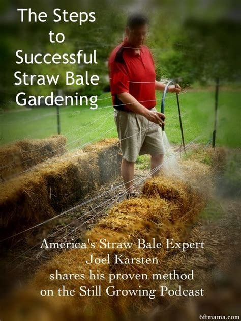 The Steps To Successful Straw Bale Gardening Episode Sg516