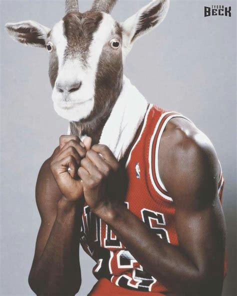 Goat Michael Jordan Chicago Bulls Michael Jordan Nba Players
