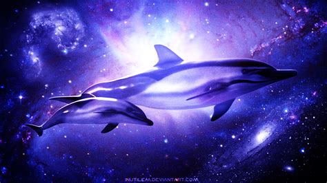 Pink Dolphins Wallpapers Wallpaper Cave
