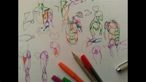 Make a plan to stick at it for the long run, because learning to draw well takes years. How to Draw Human Anatomy Part 2 | bone FIRST, muscle ...