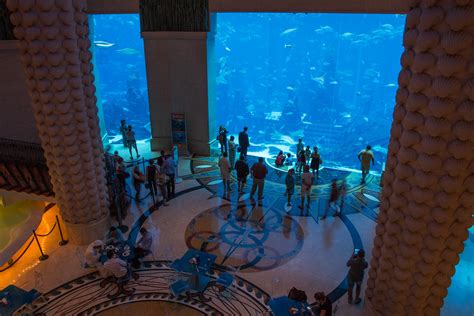 Hotel Atlantis The Palm Lost Chambers Aquarium Dubai Flickr