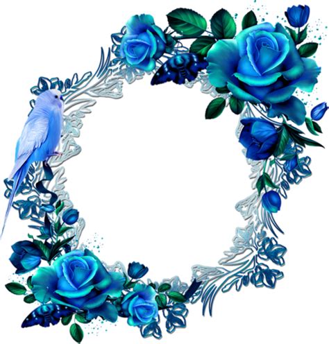 Cadres Frame Rahmen Quadro Png Blue Flower Wreath Flower Wreath