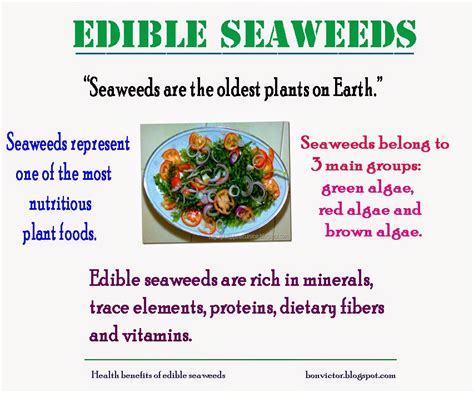 Health Benefits Of Edible Seaweeds