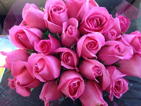 картинки цветок лепесток цветочный люблю подарок Роза